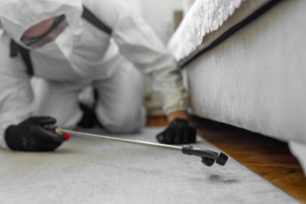 Professional Cockroach Control technician working in Ross, CA